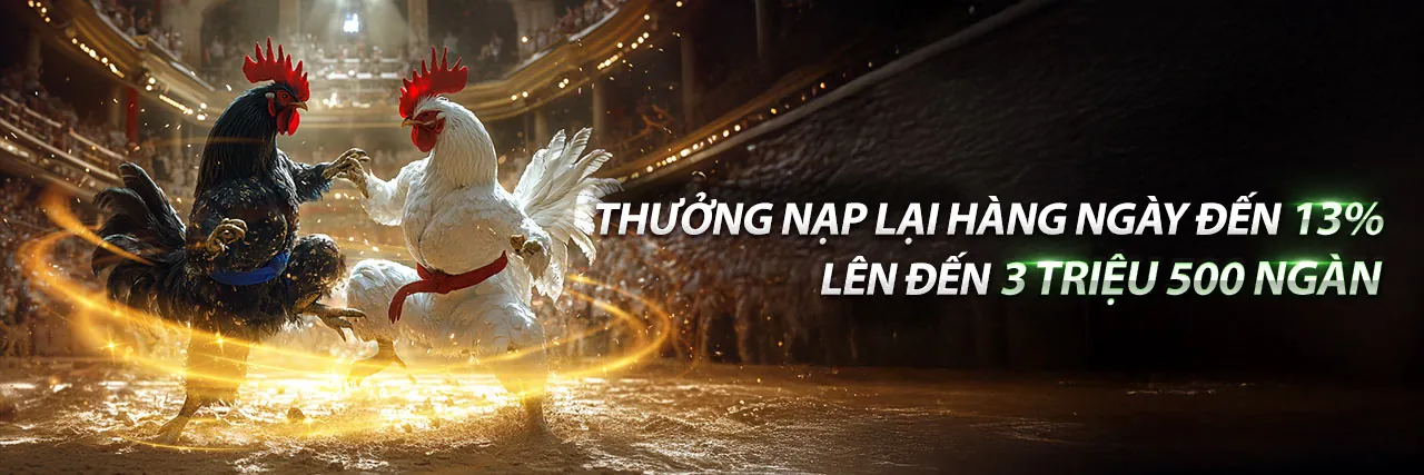 Đá gà trực tiếp trang 67 - Soi kèo đá gà chuyên nghiệp